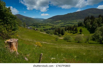 Vosges Mountains In France In Spring Time