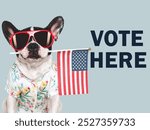 VOTE HERE. US Elections. 2024 Presidential Election. Adorable puppy and American Flag. Close-up, indoors. Studio shot. Pet care concept. Beautiful Election day invitation card, isolated background