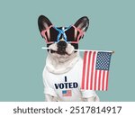 I VOTED. US Elections. 2024 Presidential Election. Adorable puppy and American Flag. Close-up, indoors. Studio shot. Pet care concept. Beautiful Election day invitation card, isolated background