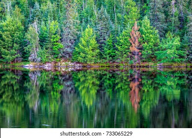 Voyageurs National Park