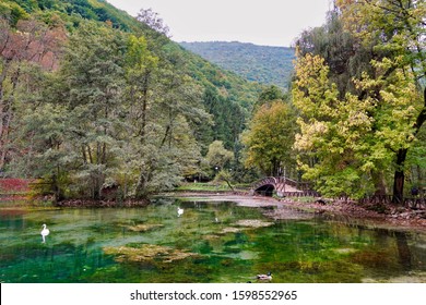 Vrelo Bosne Park In Autumn