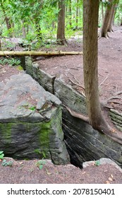 V-shaped limestone crevice and Eastern White Cedar (Thuja occidentalis) trees in forest during Summer