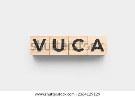 VUCA (Volatility, Uncertainty, Complexity, Ambiguity) wooden cub
