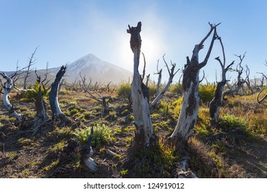 Vulcan  Lanin, National Park Lanin, San Martin De Los Andes, Province NeuquÃ?Â©n, Patagonia, Argentina