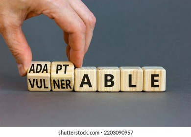Vulnerable or adaptable symbol. Businessman turns wooden cubes and changes the word Vulnerable to Adaptable. Beautiful grey background, copy space. Business and vulnerable or adaptable concept.
