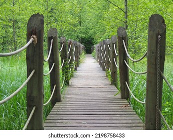 Vyzhary Footbridge, Knyszynska Forest, Podlaskie Region