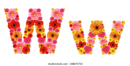 W Flower Alphabet Stock Photo 248875753 | Shutterstock