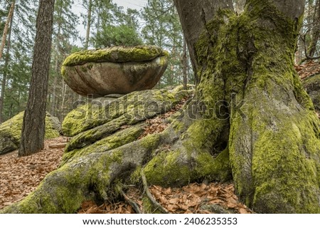 Wackelstein Wobble Stone near Thurmansbang megalith granite rock formation in winter in bavarian forest, Germany