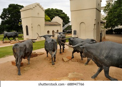
Waco, Texas - July 21, 2017: The Waco Cattle Drive, by Artist Robert 

Summers consists of 28 bronze sculptures that are life-size and a 

half depicting cowboys herding longhorn cattle