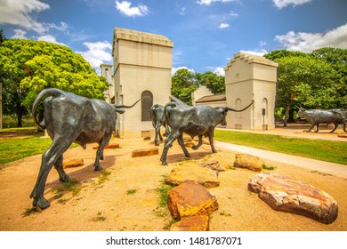 Waco, Texas, USA-26 May 2019-The Waco Cattle Drive, by Artist Robert Summers consists of 28 bronze sculptures that are life-size and a half depicting cowboys herding longhorn cattle