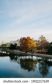 WACO, UNITED STATES - Oct 08, 2020: The leaves changing in Texas