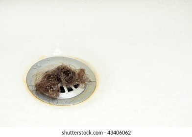 A Wad Of Hair On A Shower Drain Pipe.