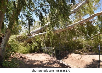 Waddell, AZ (near Phoenix). Monsoon Storm Damage July 13, 2017