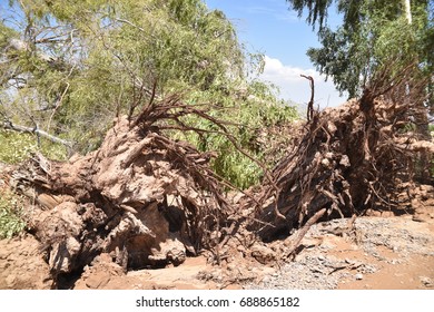 Waddell, AZ (near Phoenix). Monsoon Storm Damage July 13, 2017