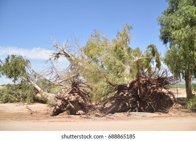 Waddell, AZ (near Phoenix). Monsoon Storm Damage July 13, 2017