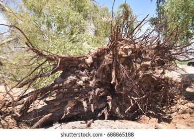 Waddell, AZ (near Phoenix). Monsoon Storm Damage July 13, 2017