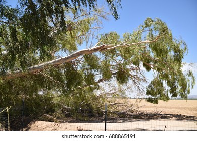 Waddell, AZ (near Phoenix). Monsoon Storm Damage July 13, 2017