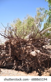 Waddell, AZ (near Phoenix). Monsoon Storm Damage July 13, 2017