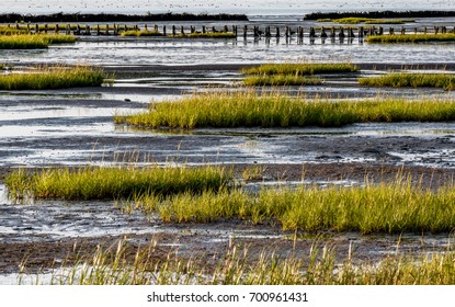 Wadden Sea At Low Tide On The West Coast Of Denmark