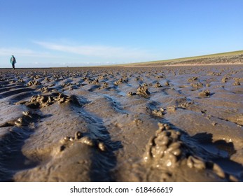 Wadden Sea, North Germany