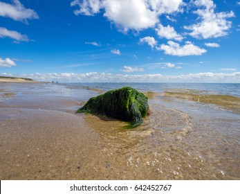 Wadden Sea In Northern Germany