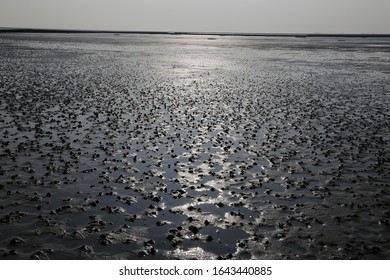 Wadden Sea Tide North Germany Stock Photo 1643440885 | Shutterstock