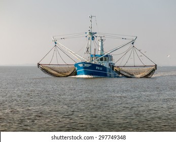WADDENSEA, NETHERLANDS, SEPTEMBER 17, 2014: Shrimp trawler fishing