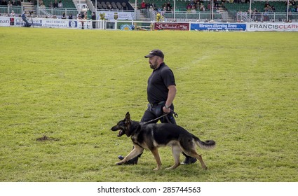 Wadebridge, Cornwall, UK, June 6 2015 - Police Dog Handler With His Dog