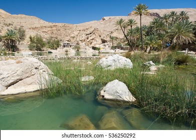 Wadi Bani Khalid - Oasis, Lake And River - Oman Desert