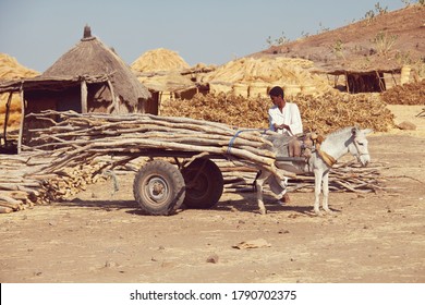 WADI HALFA, SUDAN - JANUARY 07, 2010: Sudanese Peasant Transportation  Firewood On Donkey . Sudan Remains One Of The Least Developed Countries In The World.