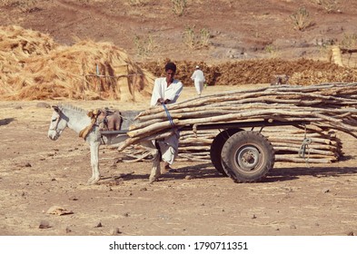 WADI HALFA, SUDAN - JANUARY 07, 2010: Sudanese Peasant Transportation  Firewood On Donkey . Sudan Remains One Of The Least Developed Countries In The World.