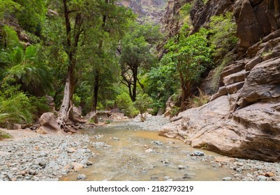 Wadi Lajab In The Jazan Region South West Of Saudi Arabia 