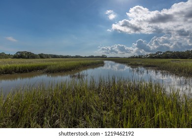 60 Wadmalaw island Images, Stock Photos & Vectors | Shutterstock