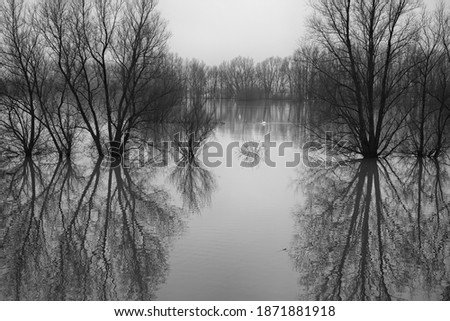 Similar – Foto Bild ::ELBSTRAND:: Baum Holz