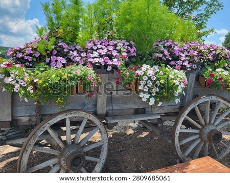 A wagon full of flowers. 