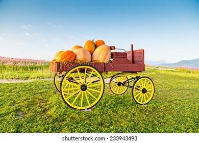 Wagon full of pumpkins