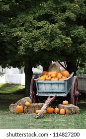 Wagon load full of pumpkins under a shady oak tree for sale.