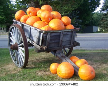 A wagonful of pumpkins