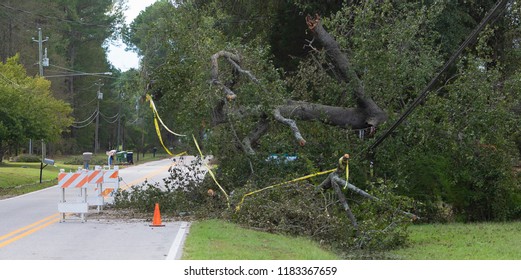 Wagram, North Carolina, United States/September 18, 2018: Power Line That Went Down During Hurricane Florence