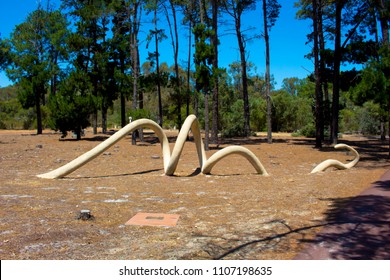 The Wagyl A Mythical Aboriginal Rainbow Serpent In  Piney Lakes Parkland,  Melville, Perth, Western Australia Is A Fascinating Artwork Symbolic Of The Noongar Dreamtime.