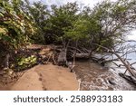 Waialea Beach, the Big Island - Hawaii, USA