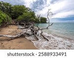 Waialea Beach on the Big Island of Hawaii, USA