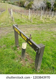 Waiheke Island Vineyard