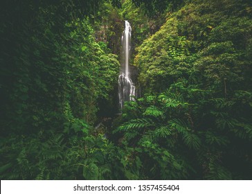 Wailua Falls on Maui (not to be confused with the same named falls on Kauai), cascading 80 feet into the jungle. Located outside the town of Hana and right off the Hana Highway, Hawaii, United States.