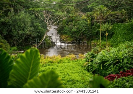 The Wailua River fed continuously from rainfall and the swamps at the top of Mount Waialeale. The tranquil Wailua River weaves by waterfalls and lush, jungle landscapes along the island's east side.
