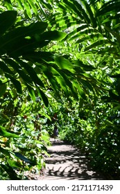 Wailua River State Park On Kauai Island In Hawaii