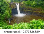 Wailuku River State Park Waterfall framed with verdant greenery.