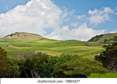 Waimea Hills