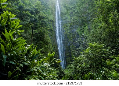 The Waimoku Falls In Haleakala National Park In Maui