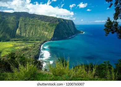 ハワイ島 の画像 写真素材 ベクター画像 Shutterstock